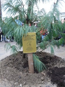 Le 9 décembre à Mézières (yvelines)