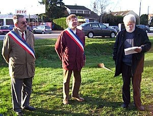 arbre-la-cite-Rosny.jpg