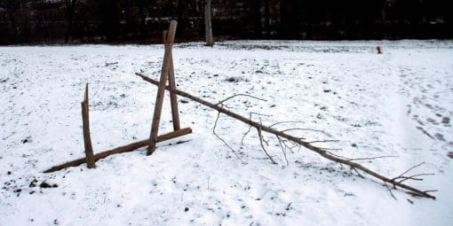 L’arbre de la laïcité a été vandalisé durant le week-end